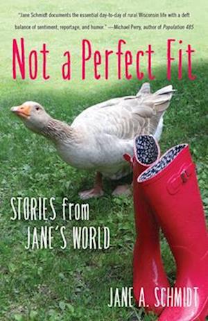 Not a Perfect Fit : Stories from Jane's World