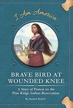 Brave Bird at Wounded Knee