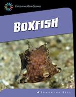 Boxfish