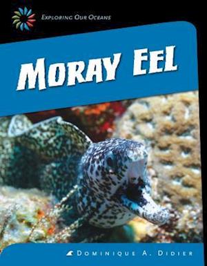 Moray Eel