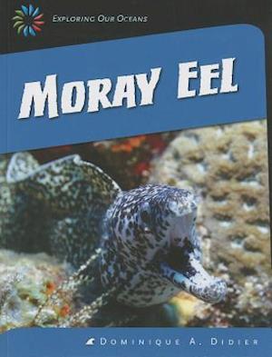 Moray Eel