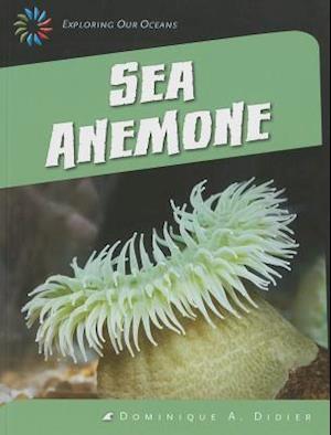 Sea Anemone