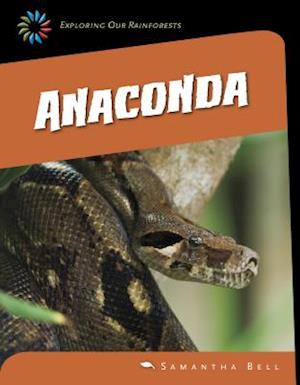 Anaconda