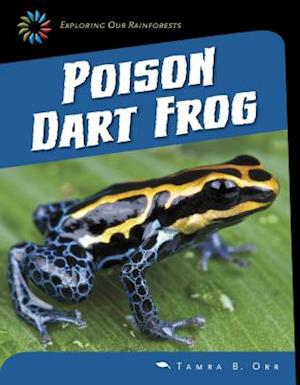 Poison Dart Frog