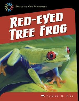 Red-Eyed Tree Frog