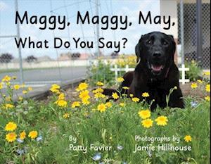 Maggy, Maggy, May, What Do You Say?