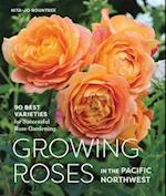 Growing Roses in the Pacific Northwest