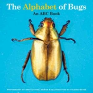 The Alphabet of Bugs