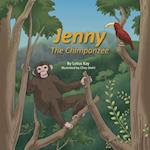 Jenny the Chimpanzee 