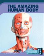 The Amazing Human Body