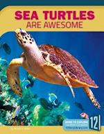 Sea Turtles Are Awesome