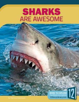 Sharks Are Awesome