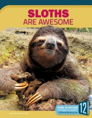 Sloths Are Awesome