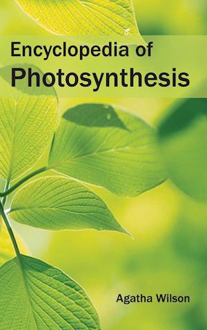 Encyclopedia of Photosynthesis