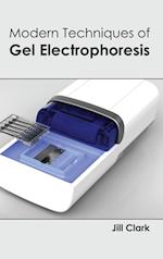 Modern Techniques of Gel Electrophoresis