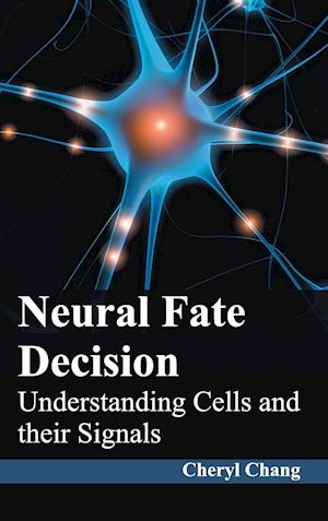 Neural Fate Decision