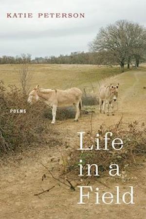 Life in a Field – Poems