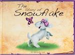 The Story of Snowflake