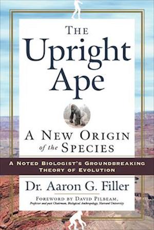 Upright Ape