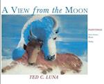A View from the Moon: Paintings, Poetry, Prose, Short Stories 