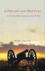 A Private and Her Foes: A Novel of the American Civil War 