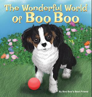 WONDERFUL WORLD OF BOO BOO