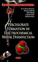 Perchlorate Formation in Electrochemical Water Disinfection