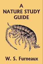 A Nature Study Guide (Yesterday's Classics)
