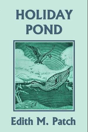 Holiday Pond (Yesterday's Classics)