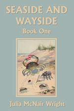 Seaside and Wayside, Book One (Yesterday's Classics) 