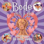 Bode Gets a Job