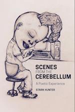 Scenes from the Cerebellum