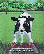 Shamrock The Calf That Beats the Odds