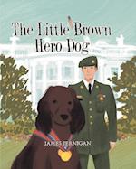 The Little Brown Hero Dog 