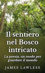 Il Sentiero Nel Bosco Intricato