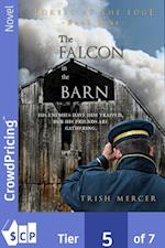 Falcon in the Barn