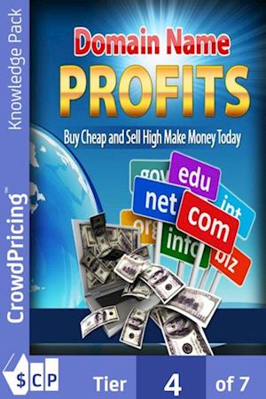 Domain name profits