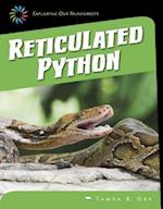 Reticulated Python