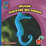 Discover Sea Horses