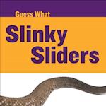 Slinky Sliders