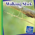 Walking Stick