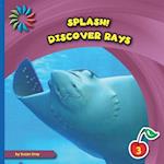 Discover Rays