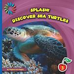 Discover Sea Turtles