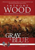Gray & Blue: A Novel of the Civil War 