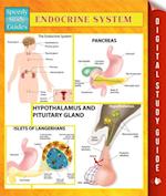 Endocrine System Speedy Study Guides