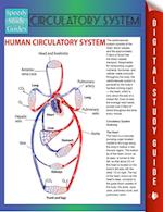 Circulatory System (Speedy Study Guides)