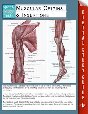 Muscular Origins & Insertions (Speedy Study Guides)