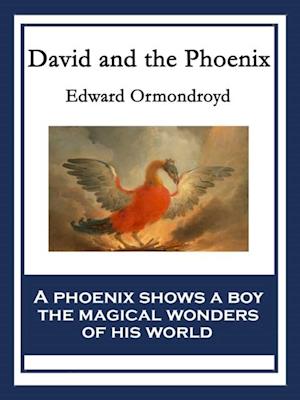 David and the Phoenix