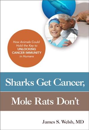 Sharks Get Cancer, Mole Rats Don't