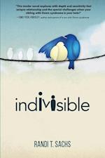 Indivisible